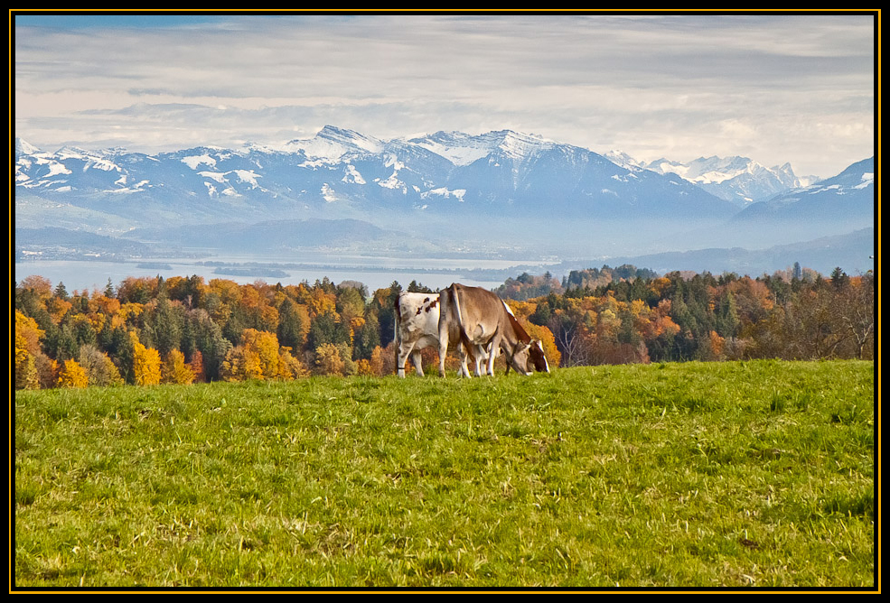 Idylle über dem See