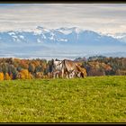 Idylle über dem See