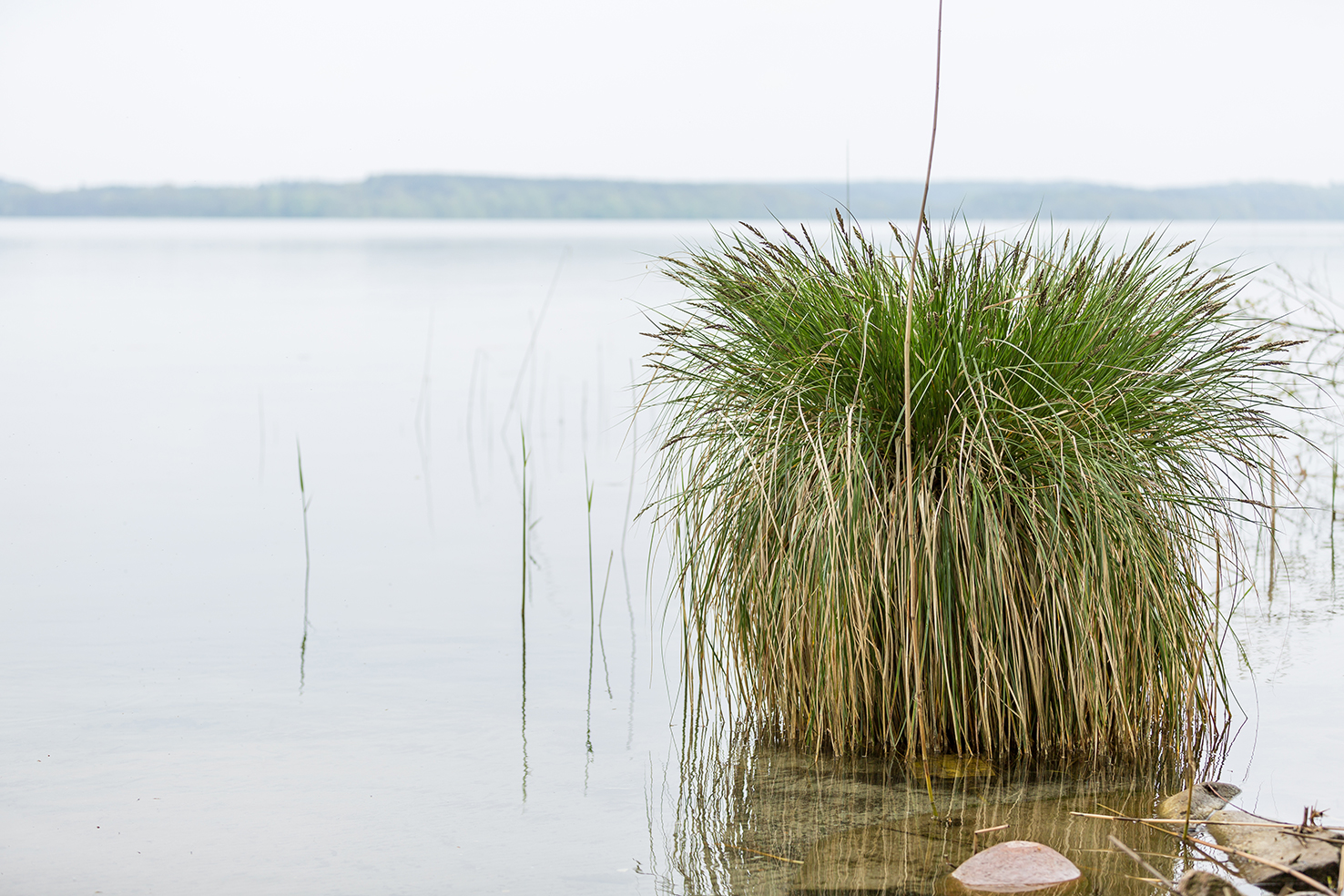 Idylle und Ruhe