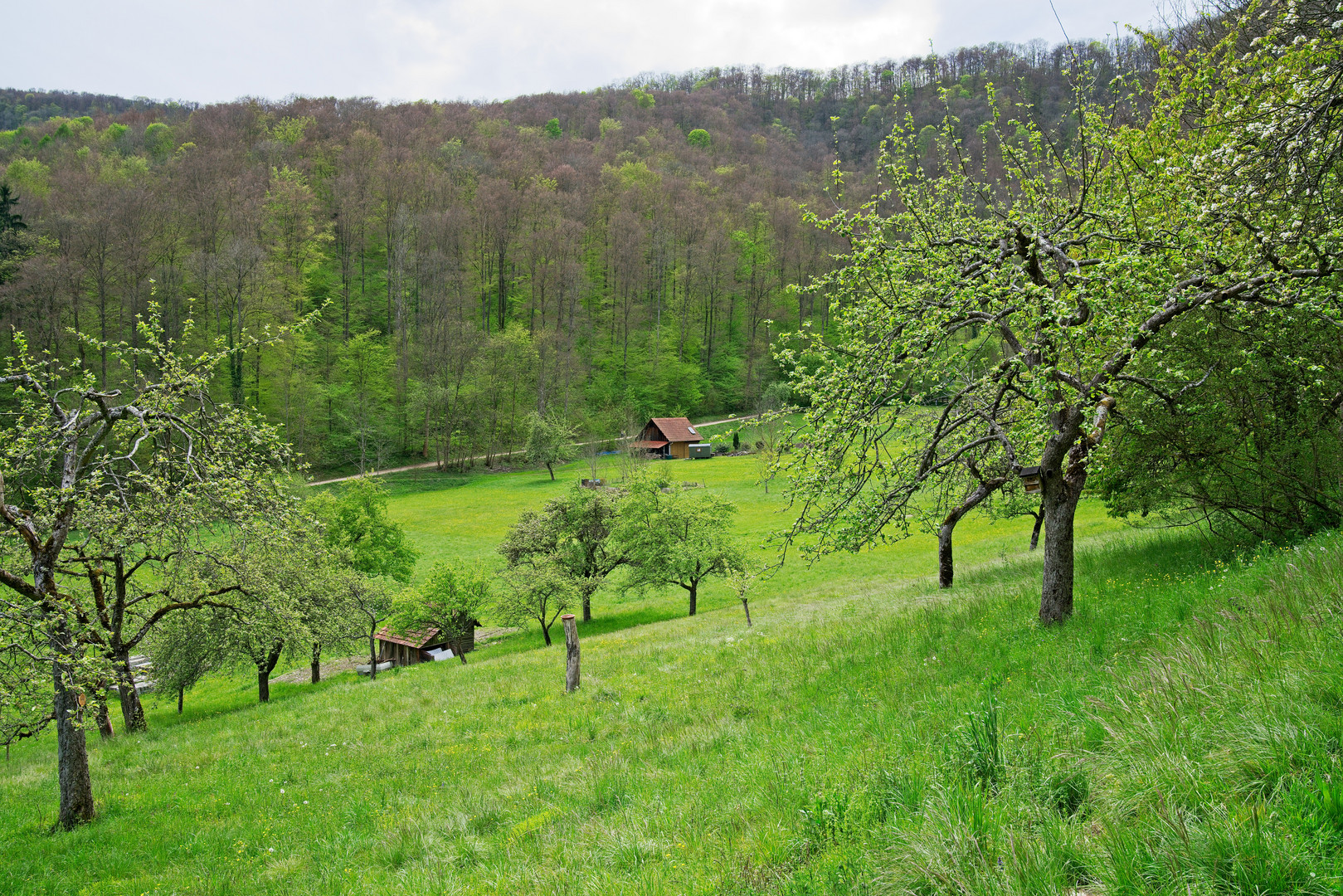 Idylle vom Feinsten