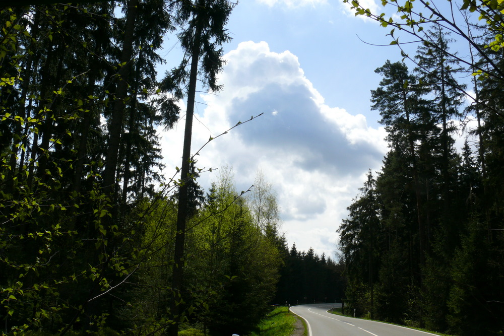 Idylle von Waldfrieden Richtung Schönberg