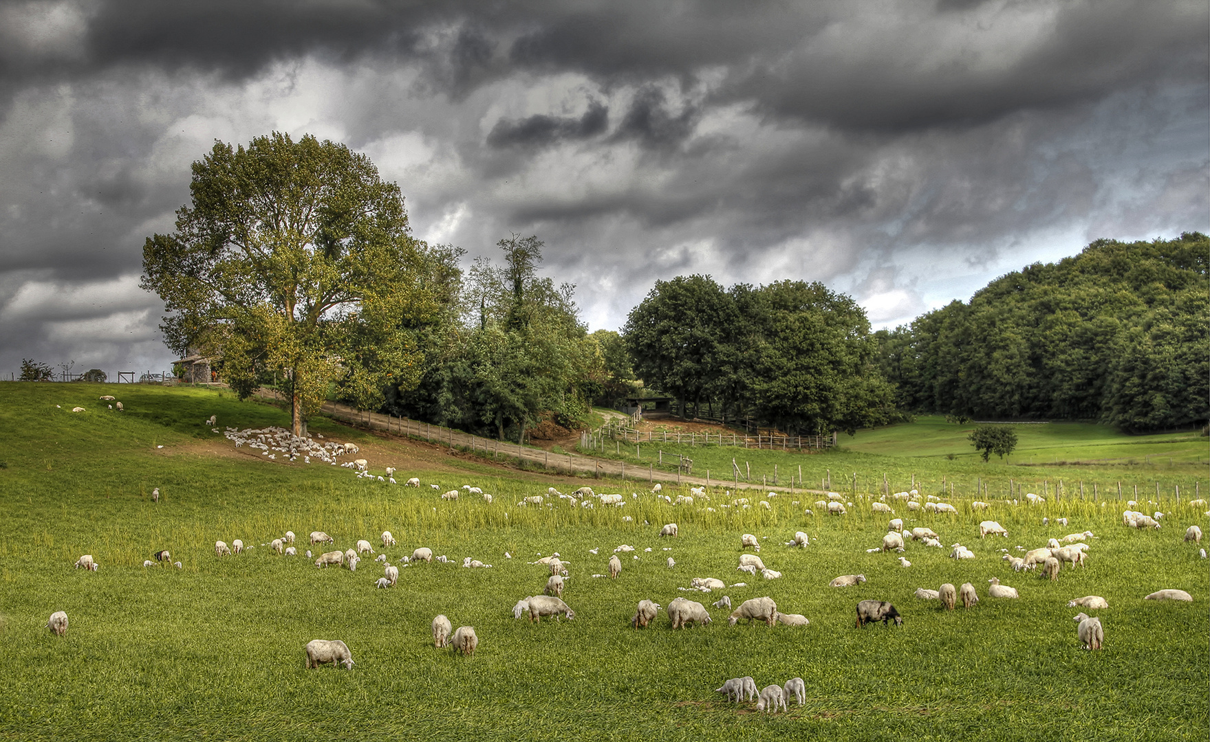 Idylle vor dem Gewitter - Latium