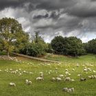 Idylle vor dem Gewitter - Latium