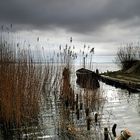 Idylle vor dem Sturm