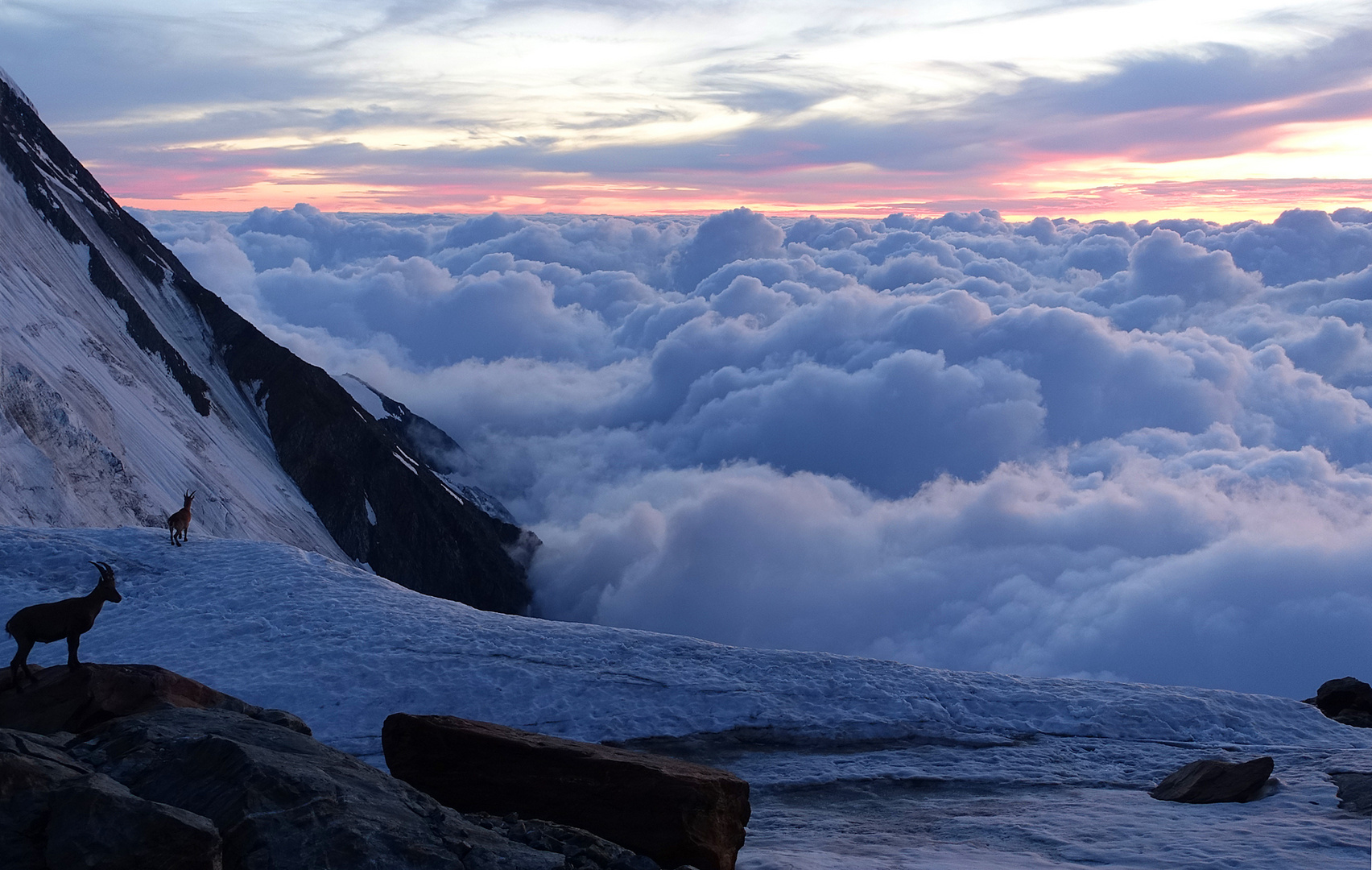 Idylle vor der Durierhütte