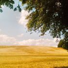 Idylle vor der Haustür