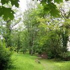 Idylle Weimarer Friedhof