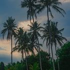 Idyllic atmosphere near Ubud