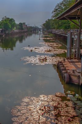 Idyllic Khlongs in Minburi