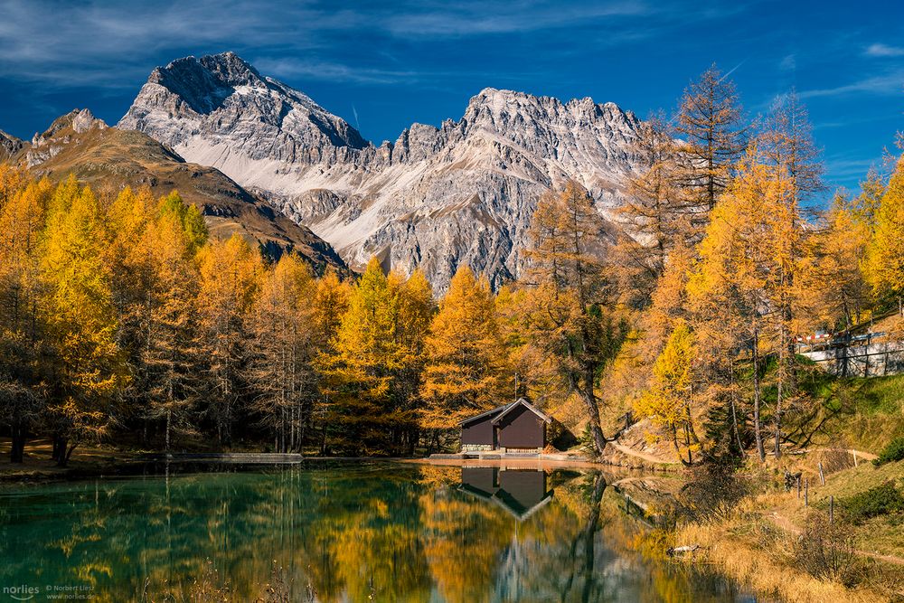 Idyllic lake Palpuogna