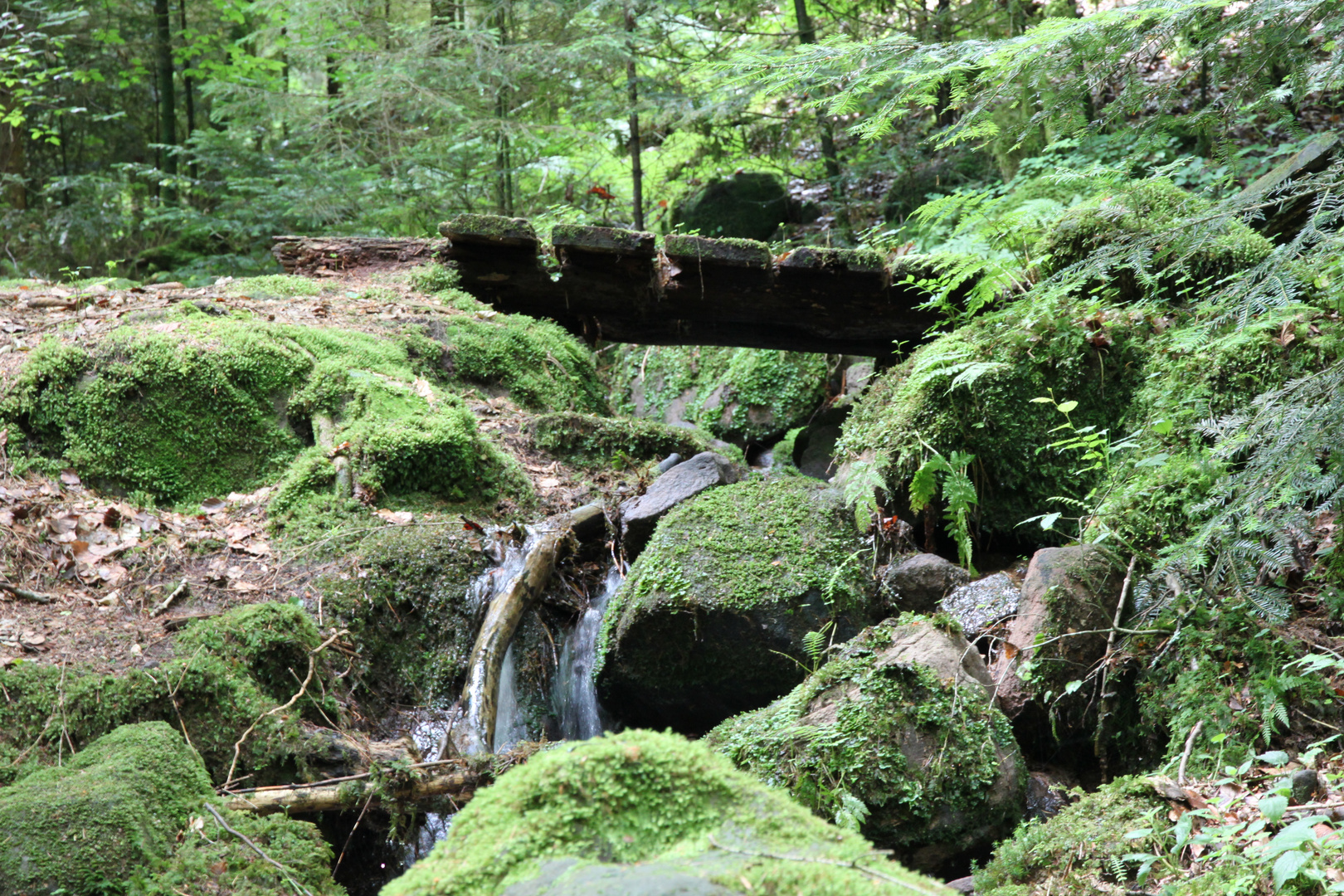 idyllisch Bachlauf