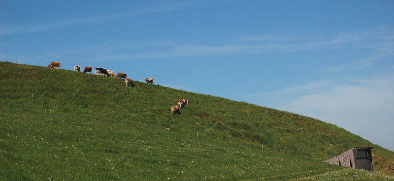 Idyllisch