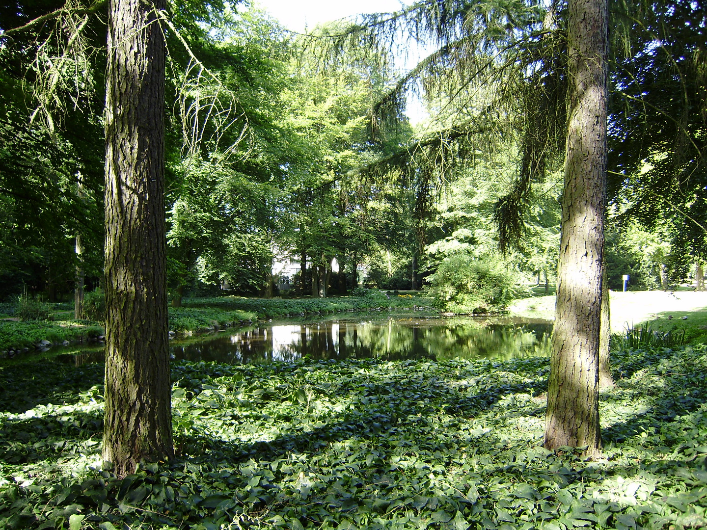 Idyllisch gelegener Weiher