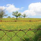 idyllische Abgrenzung zur Wahrhaftigkeit