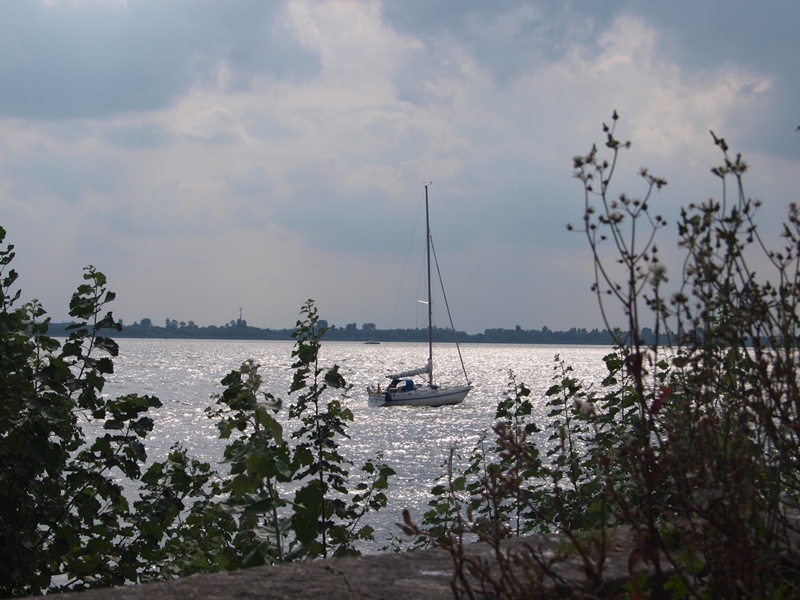 idyllische Elbe