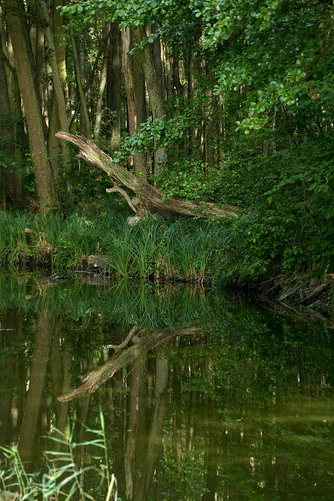 Idyllische Elde