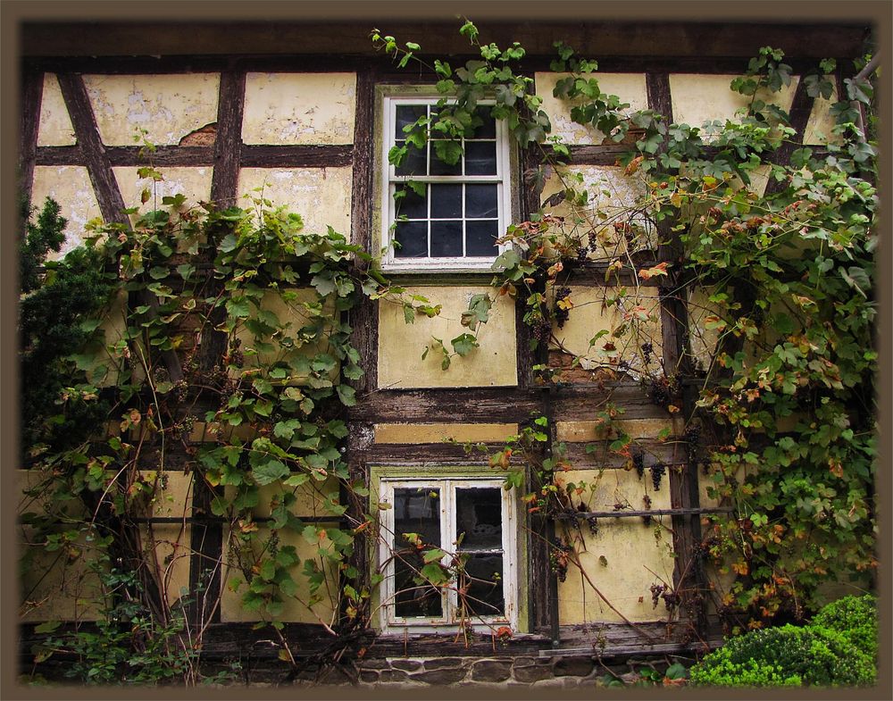 idyllische Fassade