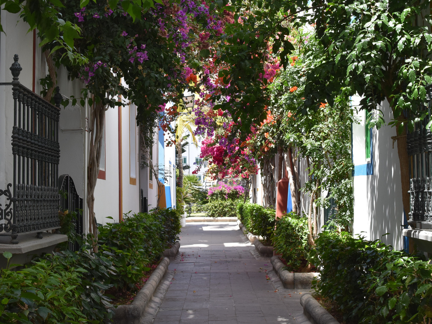 Idyllische Gasse in Puerto de Mogán II