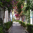 Idyllische Gasse in Puerto de Mogán II