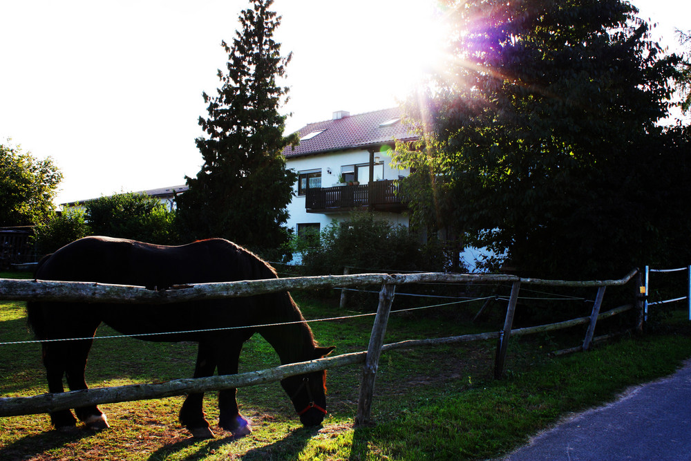 idyllische Heimat