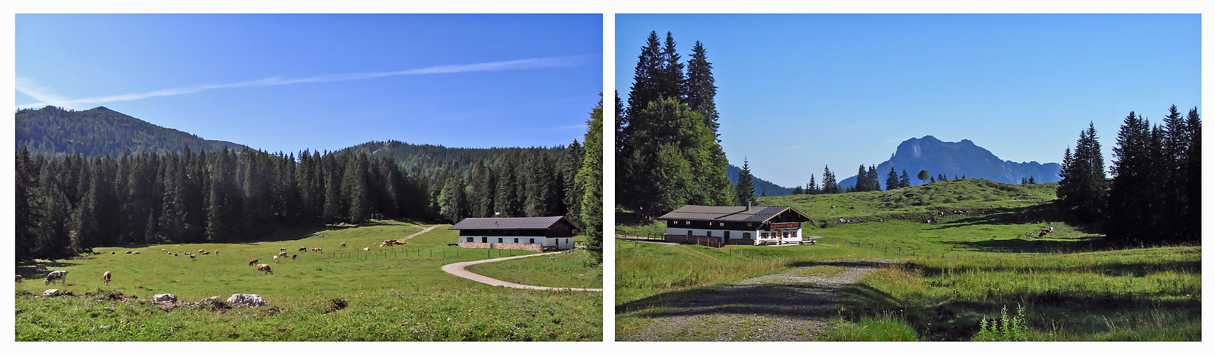 Idyllische Hemmersuppenalm