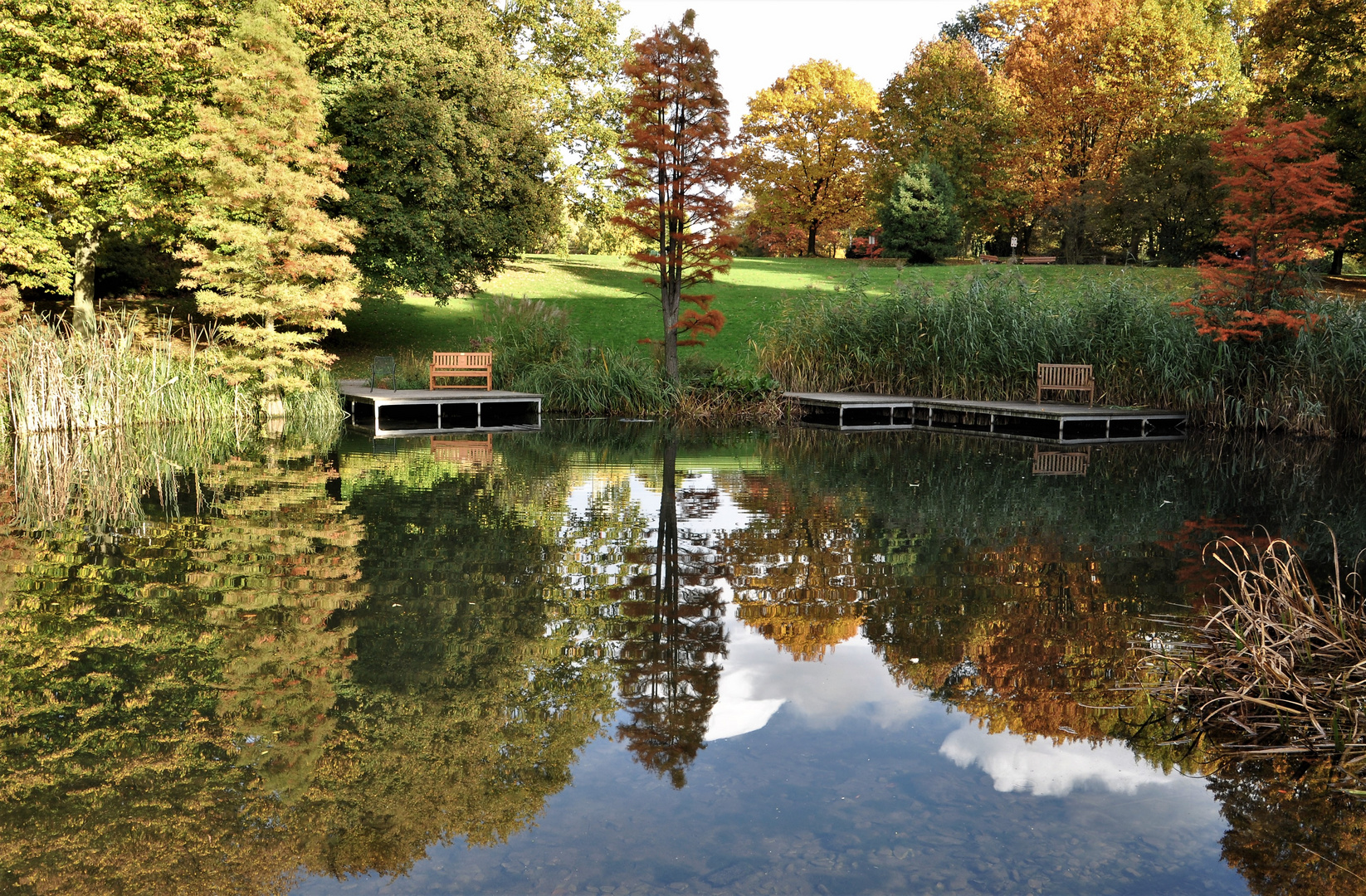 Idyllische Herbstspiegelung im Grugapark in Essen