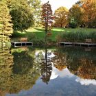 Idyllische Herbstspiegelung im Grugapark in Essen