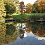 Idyllische Herbstspiegelung im Grugapark in Essen