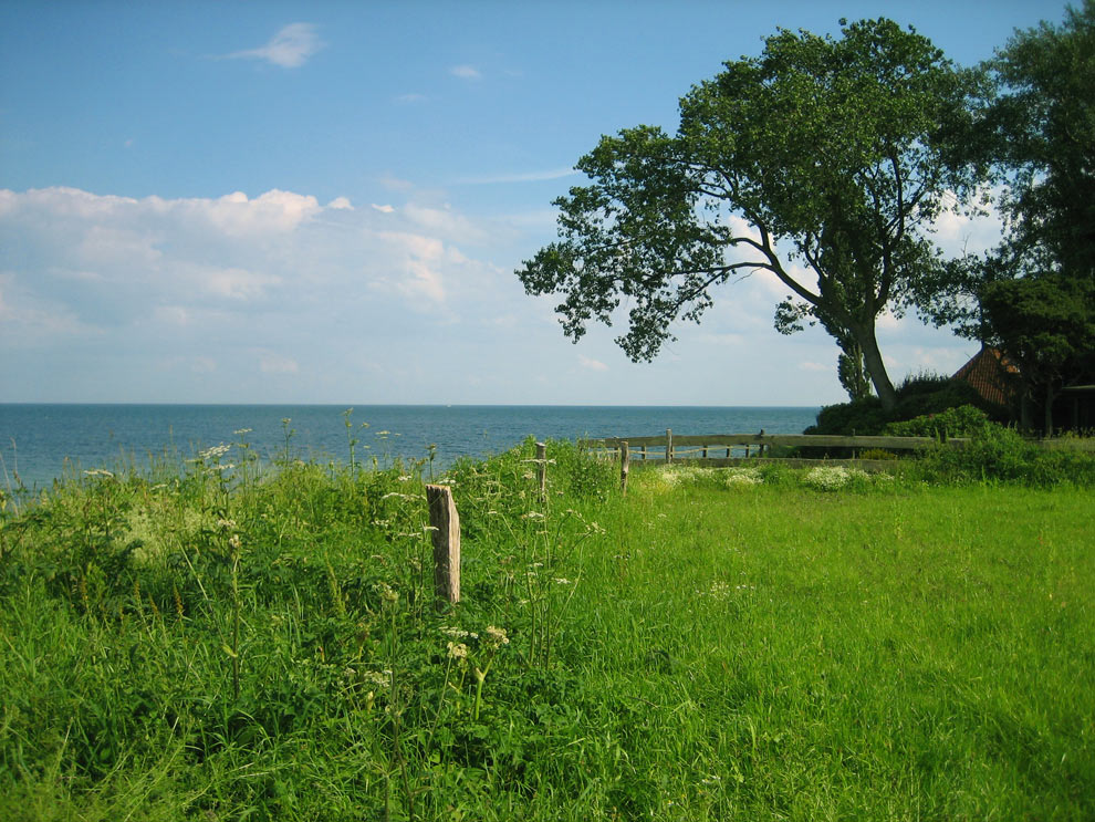 Idyllische Küste an der Ostsee