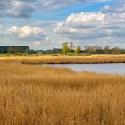 Idyllische Landschaft bei Neppermin