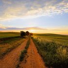 Idyllische Landschaft bei Sonnenaufgang, mit Weg 