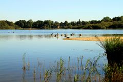 Idyllische Landschaft