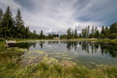 Idyllische Marinzen Alm