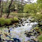 Idyllische Moorlandschaft