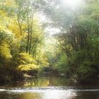 idyllische Natur