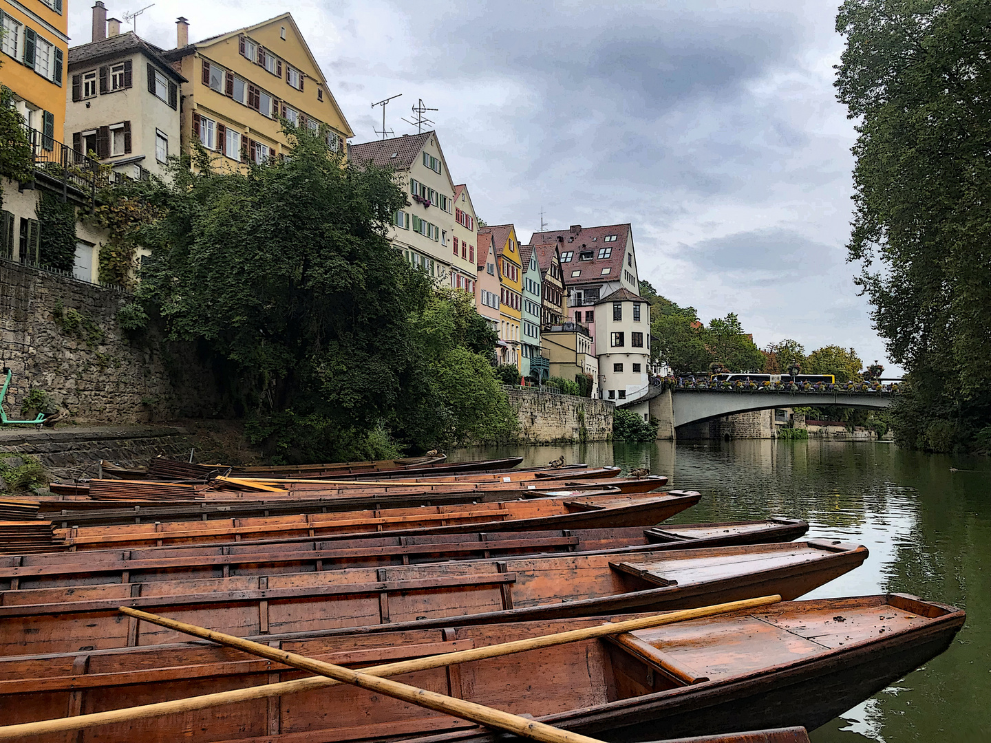 Idyllische Neckarfront