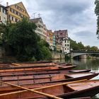 Idyllische Neckarfront