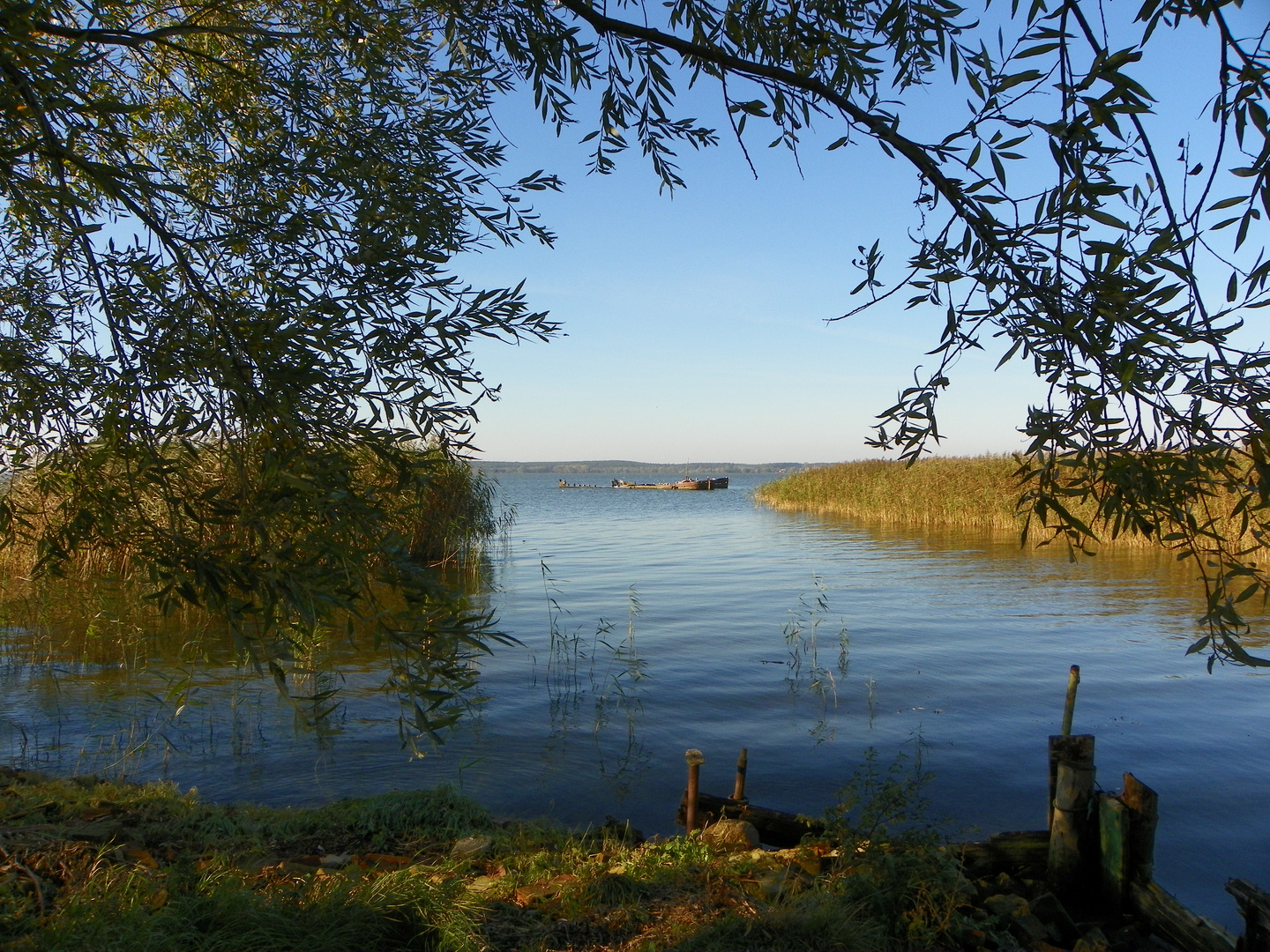 Idyllische Ruhe Am Peenestrom Achterwasser Insel Usedom Idyllische Ruhe Am Peenestrom Achterwasser Insel Usedom