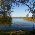 Idyllische Ruhe am Peenestrom / Achterwasser Insel Usedom im Herbst