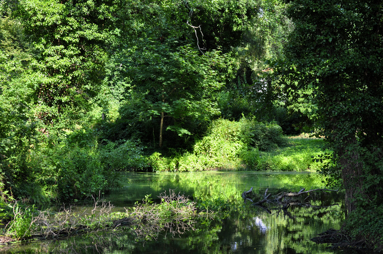 Idyllische Ruhe im Park von Schloss Marquardt