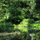 Idyllische Ruhe im Park von Schloss Marquardt