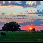 Idyllische Ruhe - Sonnenuntergang im Elbetal