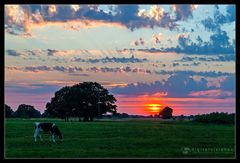 Idyllische Ruhe - Sonnenuntergang im Elbetal