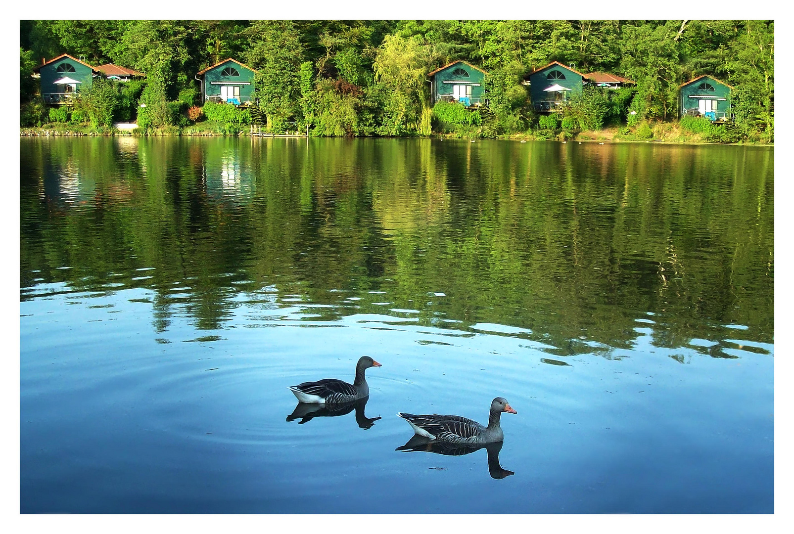 Idyllische Seenlandschaft