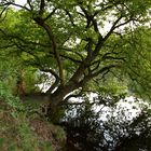 Idyllische Stille