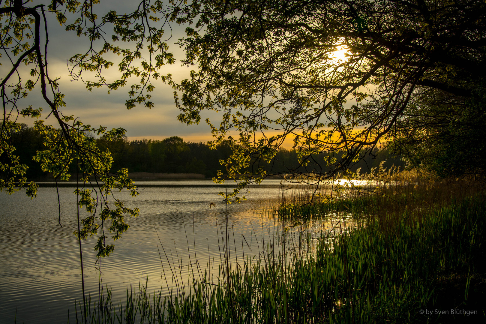 Idyllische Teichlandschaft