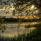 Idyllische Teichlandschaft