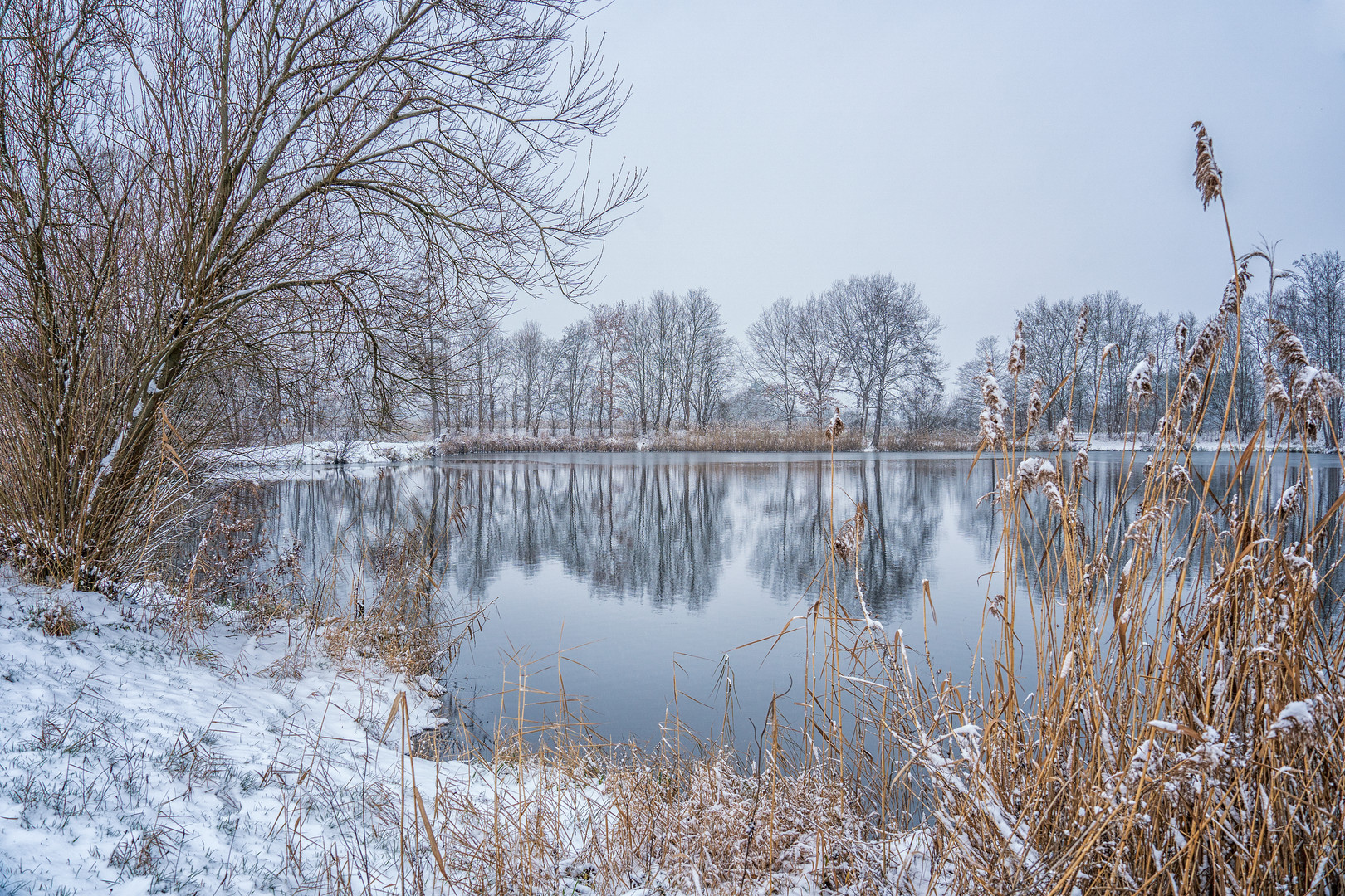 IDYLLISCHE WINTERLANDSCHAFT IN MELLE - SONNTAG 16.12.2018 