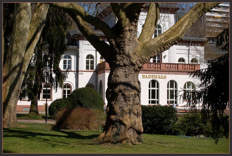 Idyllischer alter Kurpark