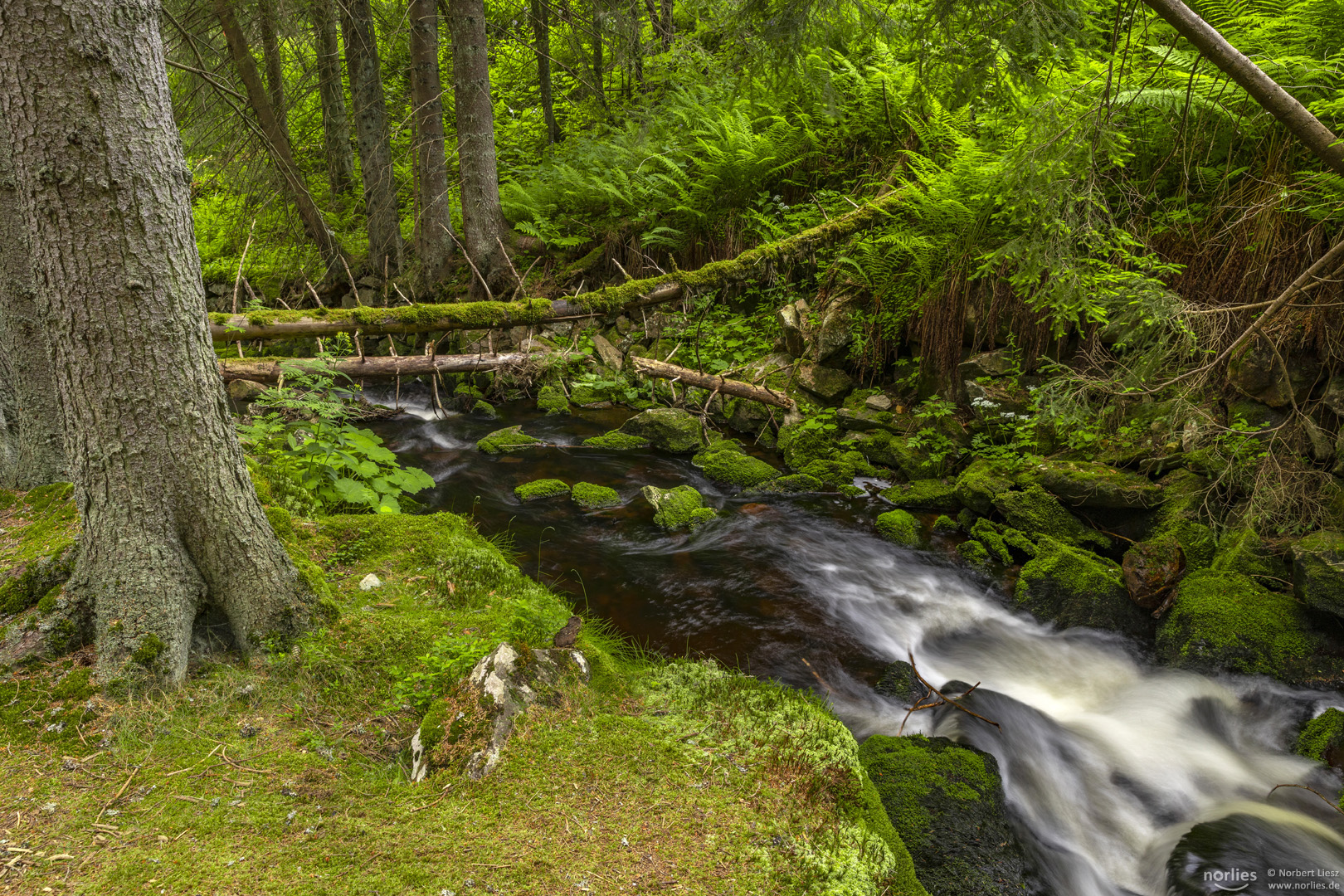 Idyllischer Bach